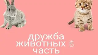дружба животных 6 часть 💝💫