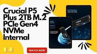 Crucial P5 Plus 2TB M.2 PCIe Gen4 NVMe Internal Gaming SSD - Up to 6600MB/s - CT2000P5PSSD8