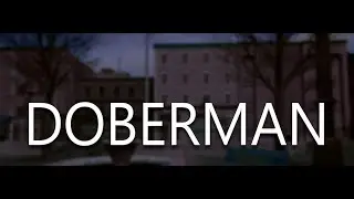 НОВЫЙ ДОБЕРМАН ЗАХВАЧЕН ЧОПОМ