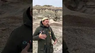 Кокала