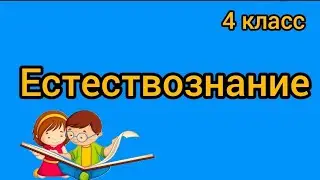 Почему мы видим предметы? Естествознание. 4 класс