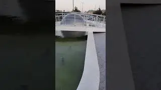 Sumqayıt  Göyərçin parkı 3