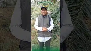 Alhamdulillah telah terlaksana pendistribusian ZAKAT di Desa Mengkalang Guntung, #Zakat2024