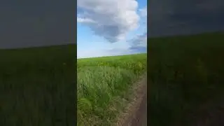 30 мая 2020 г.