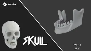 Blender Skull - Part 3 - Jaw | Basic Modeling Course (No Sculpt!)