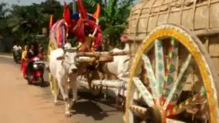 Banajaga Jatra 15