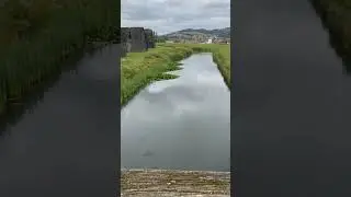 Wales