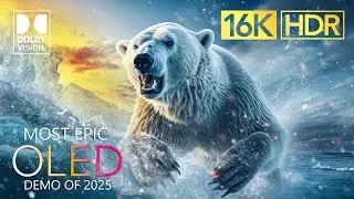 MOST EPIC OLED Dolby Vision 16K HDR - 16K Video ULTRA HD 120 FPS