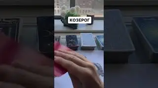 КОЗЕРОГ 2024 Прогноз Таро Ksuxa Znaet
