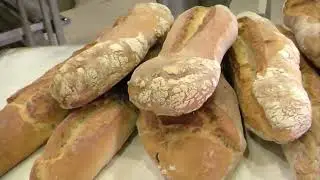 Pan de Alfacar, 12 años después en 