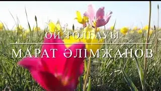 Ой толғауы. Күй. Марат Алимжанов.