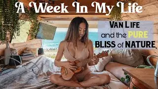 These Places In Mexico Will Blow Your Mind!! Slept In My Van Next To Wildlife Crocodiles!!