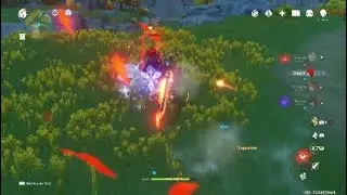 Beidou hidden feature, GENSHIN IMPACT