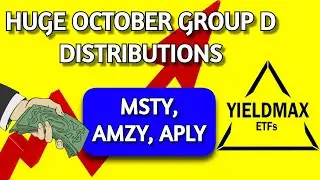 YieldMax October Group D Distributions! HUGE MSTY & SMCY Dividends!
