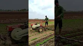 હાથ સાતી🔥પાવર ટીલર 🚜 Power Tiller Se Jutai #farming #agriculture #satisfying