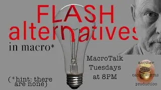 Flash - your only macro option* - Macro Talk #55 - from Allan Walls Photography, August 7, 2023