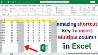 amazing shortcut key to insert multiple column | shortcut key to insert column in excel | excel