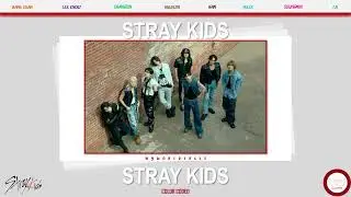 Stray Kids - Stray Kids (Color Coded) (lyrics/rom/TR)