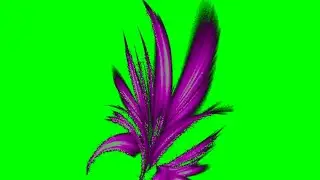 3d Anime flower🌺 green screen video snack attack🔥 Anime Gifer video kinemaster💥 sticker green video