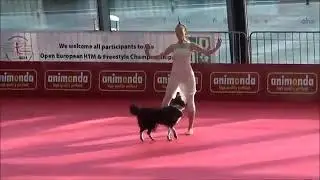 Дрессировка