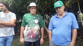 Cacau é pra profissional. A pesquisa é  tudo.