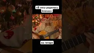 Дед Мороз играет на гитаре
