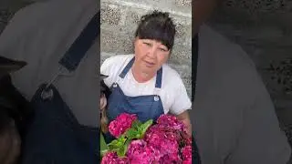 Осенние продажи, весенние продажи, День Помидора 🍅 Для заказа растений ☎️ 8 950 999 999 4