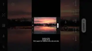 RAW support on all three cameras is here on the OnePlus 9 Pro with Oxygen OS 12!