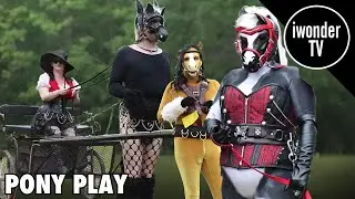 Pony Play Down In New Orleans