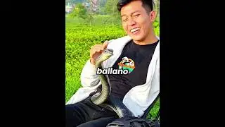 🐍❤️ An Incredible Friendship Between Man and Cobra 