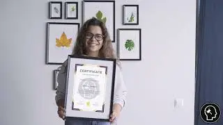 Law Mind's Law Work Experience