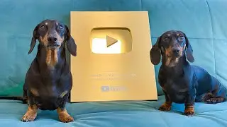 How we celebrated 1 million subscribers!