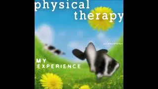 Physical Therapy - My Experience (Unreliable Narrator Mix)
