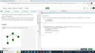 DFS | Java | Explanation | Solution