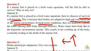 If a marine fish is placed in a fresh water aquarium, will the fish be able to survive? Why or why n