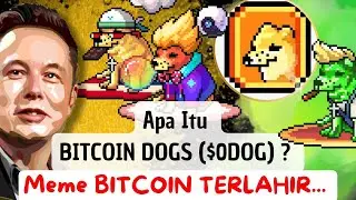 MEME BITCOIN DOGS ($0DOG) | INI PROJECT BESARNYA...