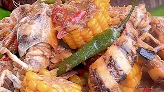 Alupihang Dagat I Joseph The Explorer