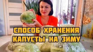 СПОСОБ СОХРАНИТЬ КАПУСТУ СВЕЖЕЙ ВСЮ ЗИМУ. 🥬 К врачам лучше не ходить. Обновка для мужа. 👞