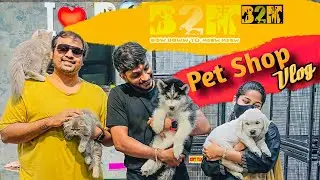 HYDERABAD BIGGEST PET SHOP VLOG | DOGS  CATS BIRDS FISH | HYPER KING