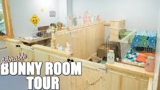 NEW ADORABLE BUNNY ROOM TOUR!