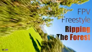 FPV Cinematic Freestyle (4K 24P)