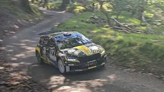 Best of Rali Ceredigion 2024 Qualifying and shakedown