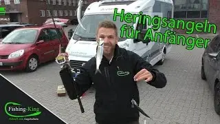 Wie fange ich Heringe und welche Ausrüstung brauche ich? | Fishing-King.de