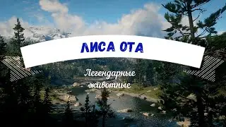 Лиса Ота Легендарные животные - Red Dead Online