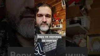 Религиозное учение невозможно понять по книгам. Священник Александр Востродымов. 3 ноября 2024 г.