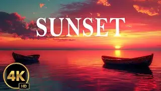 Secrets of a Serene Beach Sunset in 4K Ultra HD #4k #nature