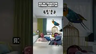 Не стоит учить попугая этому 🫡 | #папич #папичмемы #мем