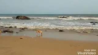 Beautiful beaches || Vizag Beach Nourishment