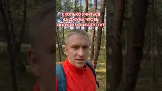 Сколько нужно учиться на джуна чтобы получить работу? 👩‍🎓 #карьеравit #джун #shorts