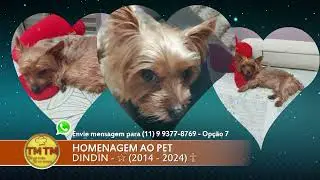Quadro Minuto Pet - Tema Doença do Carrapato Programa TMTM AWTV